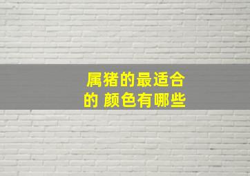 属猪的最适合的 颜色有哪些